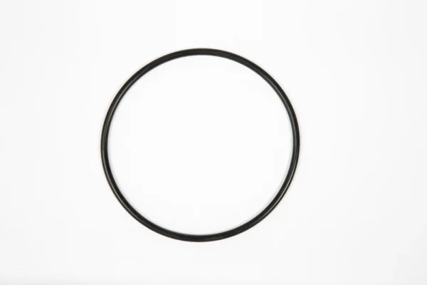 Bestway Above Ground Pool 1,000-3,000 gal. Sand Filter Pump Gasket Replacement