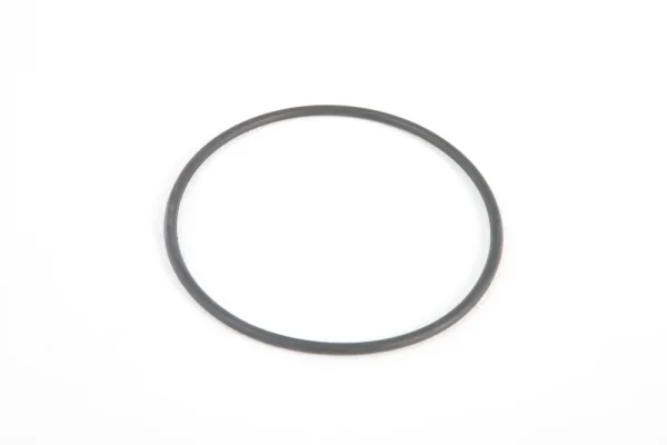 Above Ground Pool Filter Cap Seal Replacement for 1,500 gal. Pump