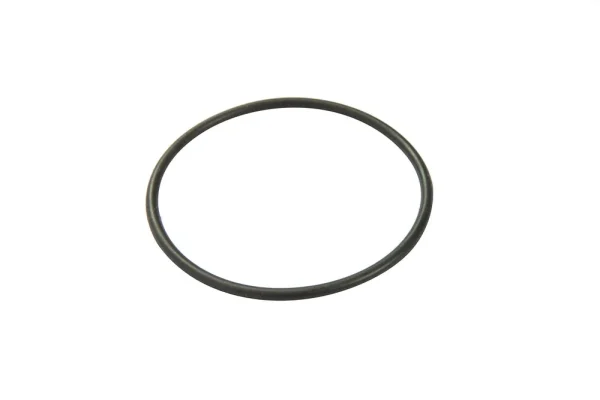 Above Ground Pool Filter Cap Seal Replacement for 330 gal. Pump