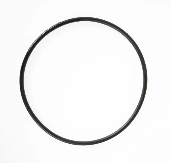 Above Ground Pool Filter Cap Seal Replacement for 2,500 gal. Pump