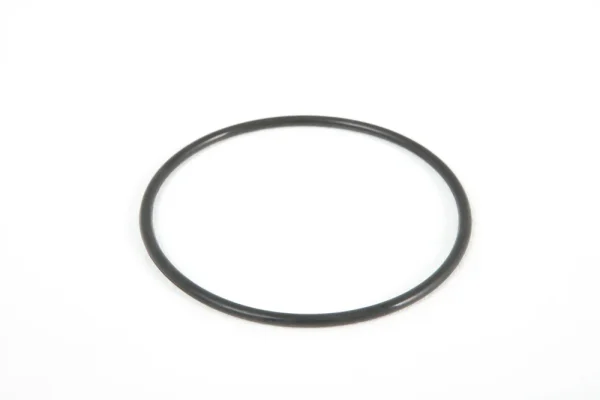Bestway Above Ground Pool Sand Filter Pump Strainer Cap Seal Replacement
